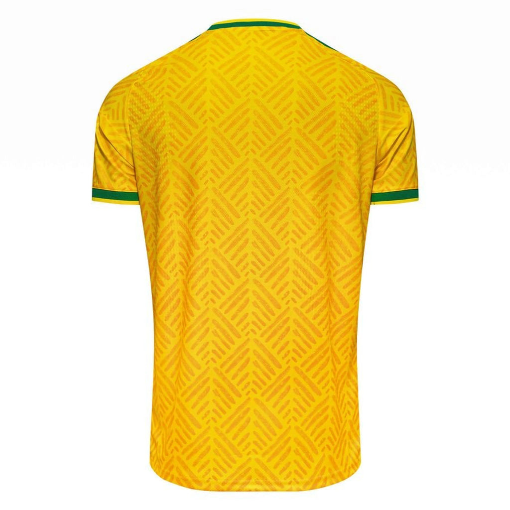 Afrique du Sud Domicile 2026