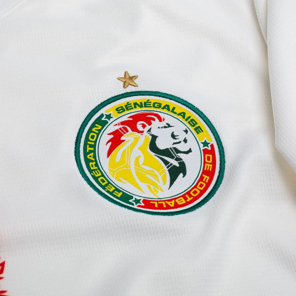 Cameroon Home 2026